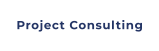 Project Consulting
